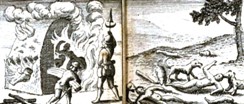 Home Page Image